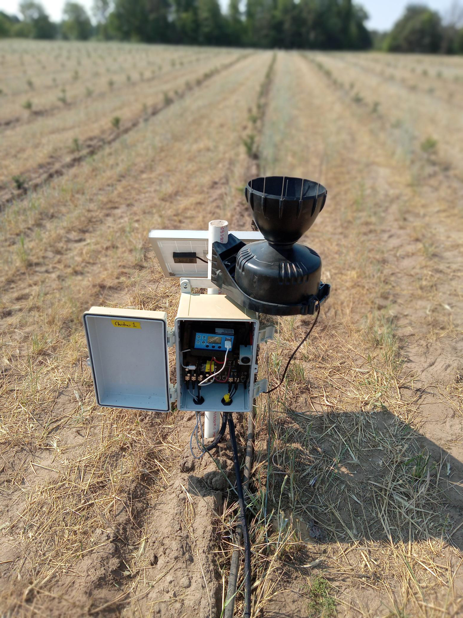 A soil moisture sensor system in the middle of a Christmas tree field with young plantings just starting to emerge.